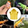 GTFYUDGH Bearded Dragon Outfit | Handmade Soft Reptile Coat view 4