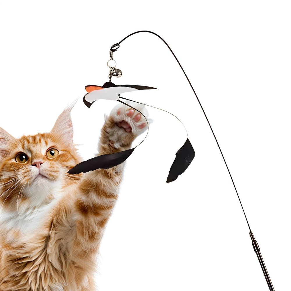 Generic Cat Wand, Swallow Design, Movement Exercises