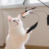Generic Swallow-Design Cat Wand Toy view 3
