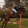 Ciieeo Non-Slip Horse Pad with EVA, Cotton and Polyester, Black view 3