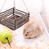 GANAZONO Multifunctional Hamster Hammock and Hanging Bed view 3