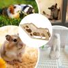 Hamster Climbing Toy with Tunnel and Bridge for Small Pets view 4