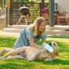 Generic Dog Chew Toy - Slipper Shape view 3