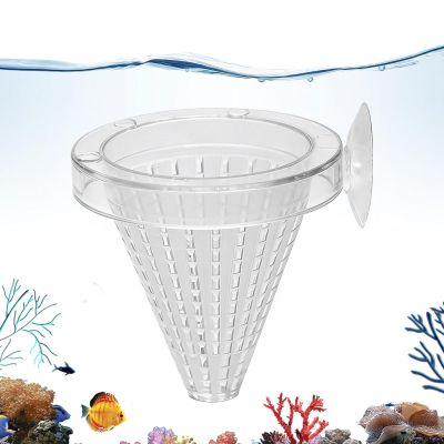 Fish Feeder - Bloodworm Holder with Suction Cup for Aquariums