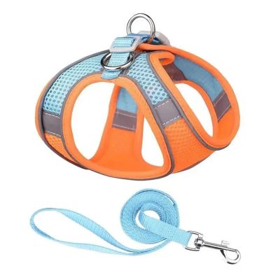 Dog Harness and Leash Set for Small Dogs