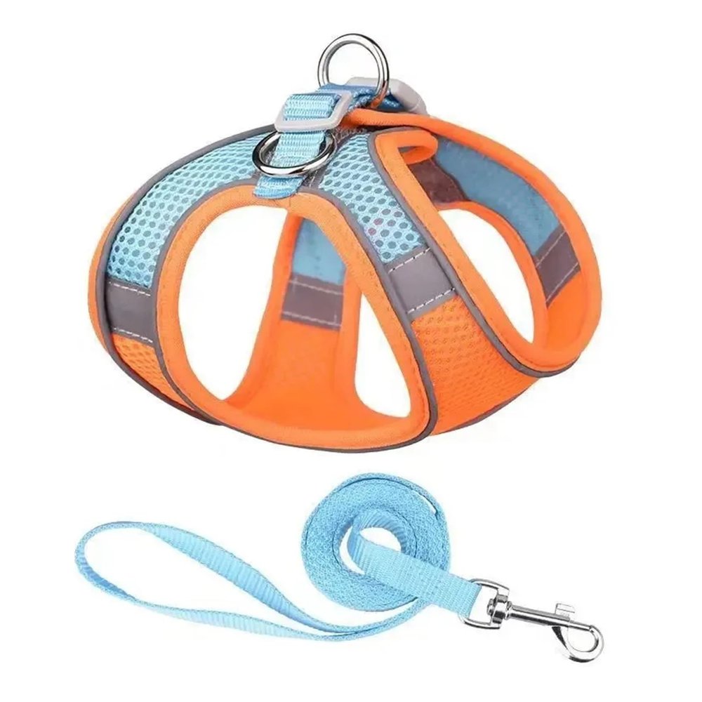 Dog Harness and Leash Set for Small Dogs