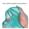 Dog Harness and Leash Set for Small Dogs view 4