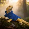Handmade Soft Clothing for Bearded Dragons view 3