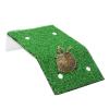 Turtle Sunbathing Climbing Decor view 4