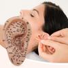 Ear Seed Acupuncture Set with 7.5-Inch Ear Model view 3