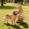 Dog Ear Protection Hood for Pets view 3