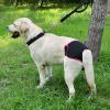 Fafeims Reusable Dog Diapers for Females view 3