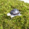 Jinymral 250g Turtle Moss Substrate view 3