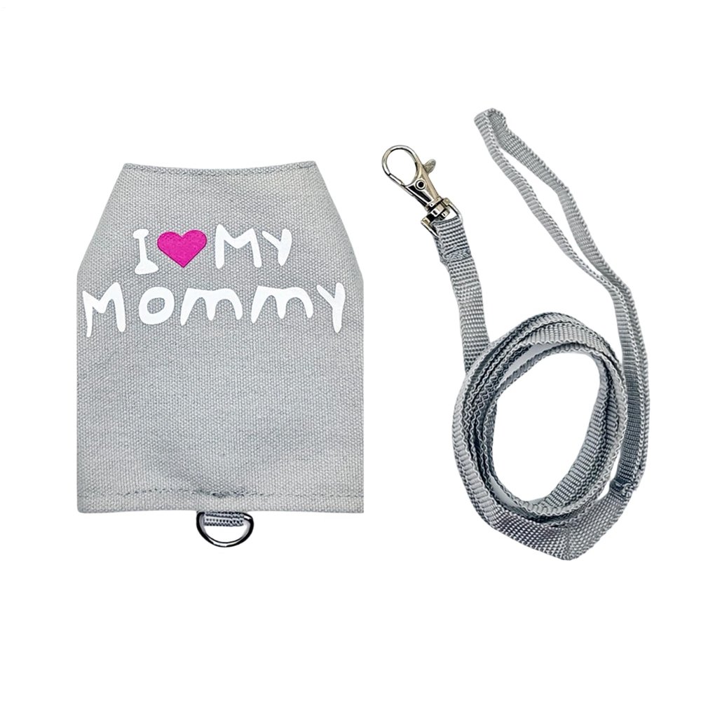 Lizard Leash | Adjustable, Reflective Pet Gear