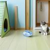 GANAZONO Adjustable Shark-Shaped Recovery Collar for Cats and Small Dogs view 4