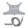 Bearded Dragon Leash - Adjustable, Breathable, Reflective view 1