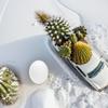 12 Artificial Plastic Bird Eggs, White, for Canaries view 4