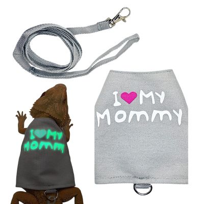 Dtaigou Lizard Harness and Leash
