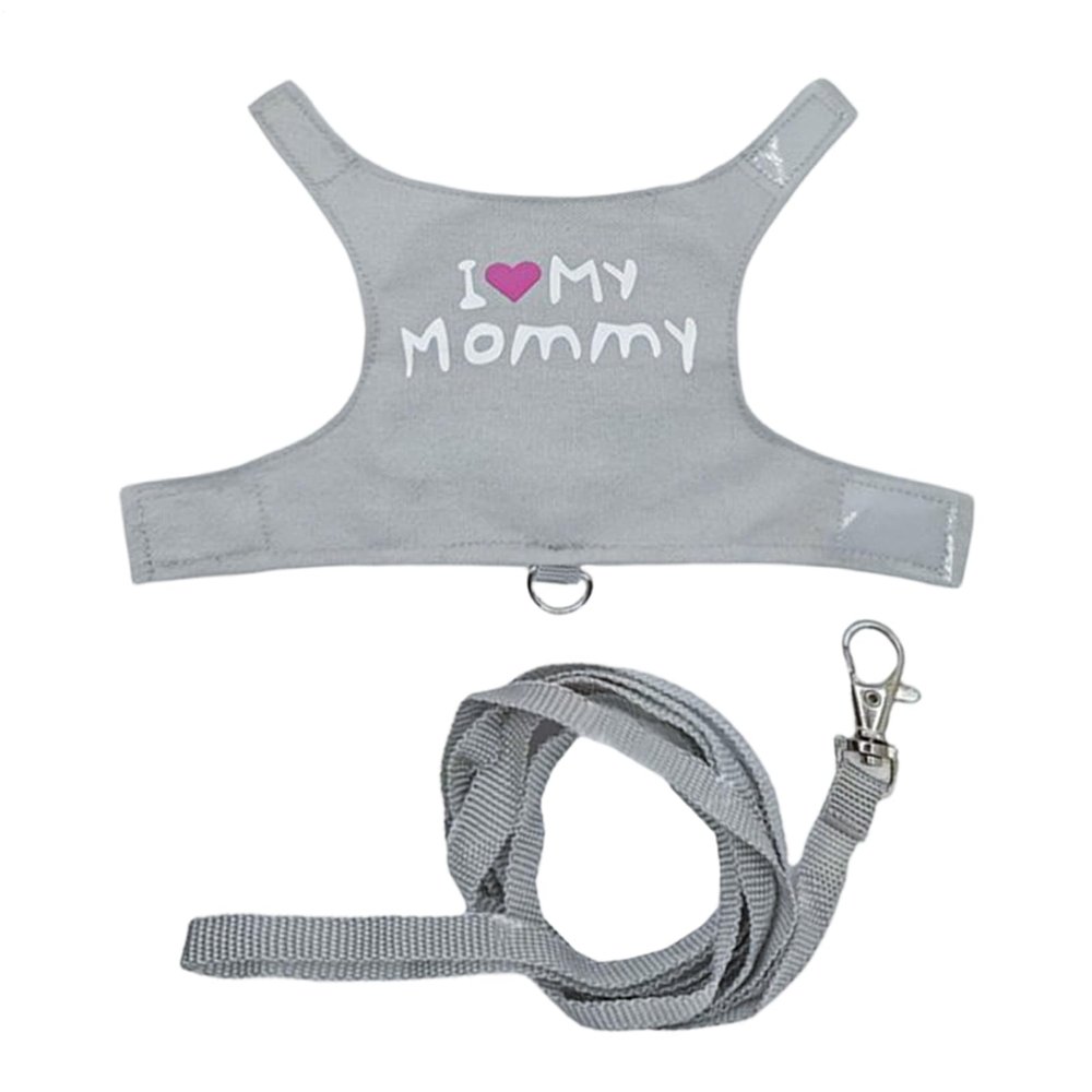 Lizard Harness, Adjustable Breathable Pet Gear - Bearded Dragon Apparel for Outdoor Activities