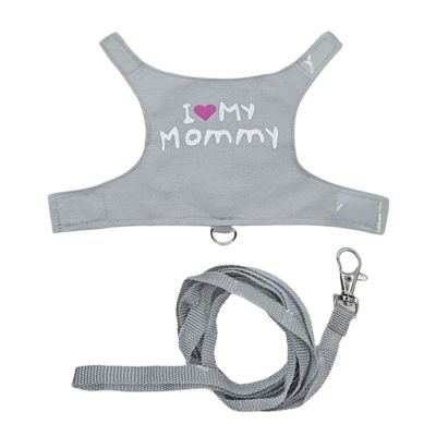 Bearded Dragon Harness