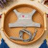 Bearded Dragon Harness view 3