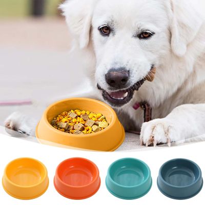 Round Plastic Pet Food Storage Container (Green, 13cm)