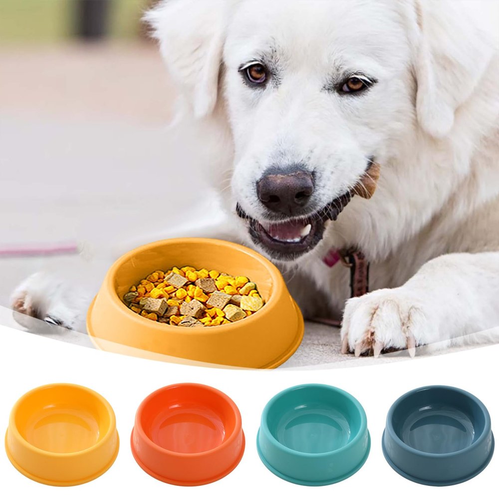 Round Plastic Pet Food Storage Container (Green, 13cm)