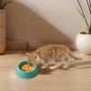 Round Plastic Pet Food Storage Container (Green, 13cm) view 4