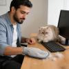 Cat Hair Removal Glove 24 x 18 cm view 2