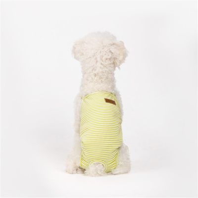 Washable Female Dog Diaper Pants with Adjustable Suspenders, Green, S