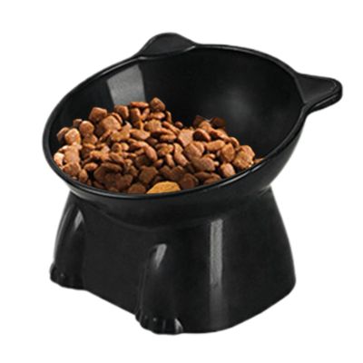 Elevated Cat Food Bowl