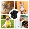 Elevated Cat Food Bowl view 2