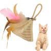 Catnip Kicker Toys for Kittens view 1