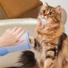 Generic Dog Paw Cleaner, 6.69 x 4.17 x 3.78 in view 3