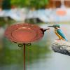 FewNvWa Metal Bird Waterer, Iron Bird Bath with Stake, Weather-Resistant Bird Water Basin, Bronze view 2