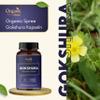 ORGANIC SPREE Gokshura 120 Capsules | Tribulus Terrestris | 900 mg per Serving view 4