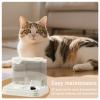 LOKLNEYK Automatic Pet Feeder with Food and Water Bowls, Beige view 2