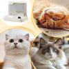 LOKLNEYK Automatic Pet Feeder with Food and Water Bowls, Beige view 4