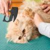 Cat Comb for Tangles - 2-Piece Pet Hair Removal Tool view 2
