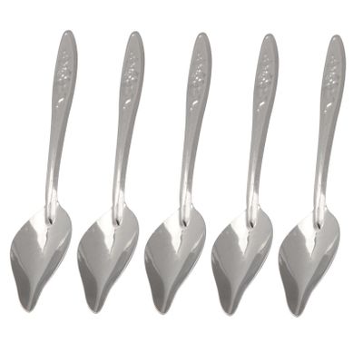 DECHOUS Stainless Steel Bird Feeding Spoon - 6 Pack
