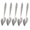 DECHOUS Stainless Steel Bird Feeding Spoon - 6 Pack view 1