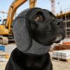 Generic Dog Noise Protection Waterproof Ear Cover view 4