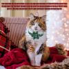 Christmas Dog Collar view 3