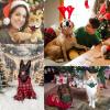 Christmas Dog Collar view 4
