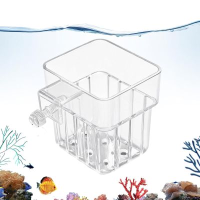 Generic Aquarium Plant Holder - Transparent Hanging Pot