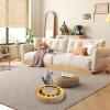 Cat Scratching Board with Ball Spinner view 2