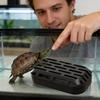 Turtle Waste Collector with Viewing Window view 3