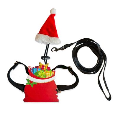 Adjustable Lizard Adventure Set