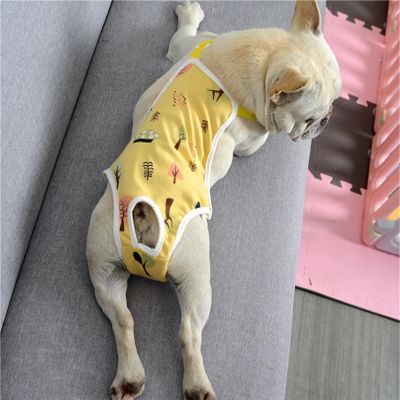 Dog Diaper Pants with Suspenders, Yellow, M