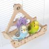 Rotating Wooden Bird Perch for Hummingbirds view 3